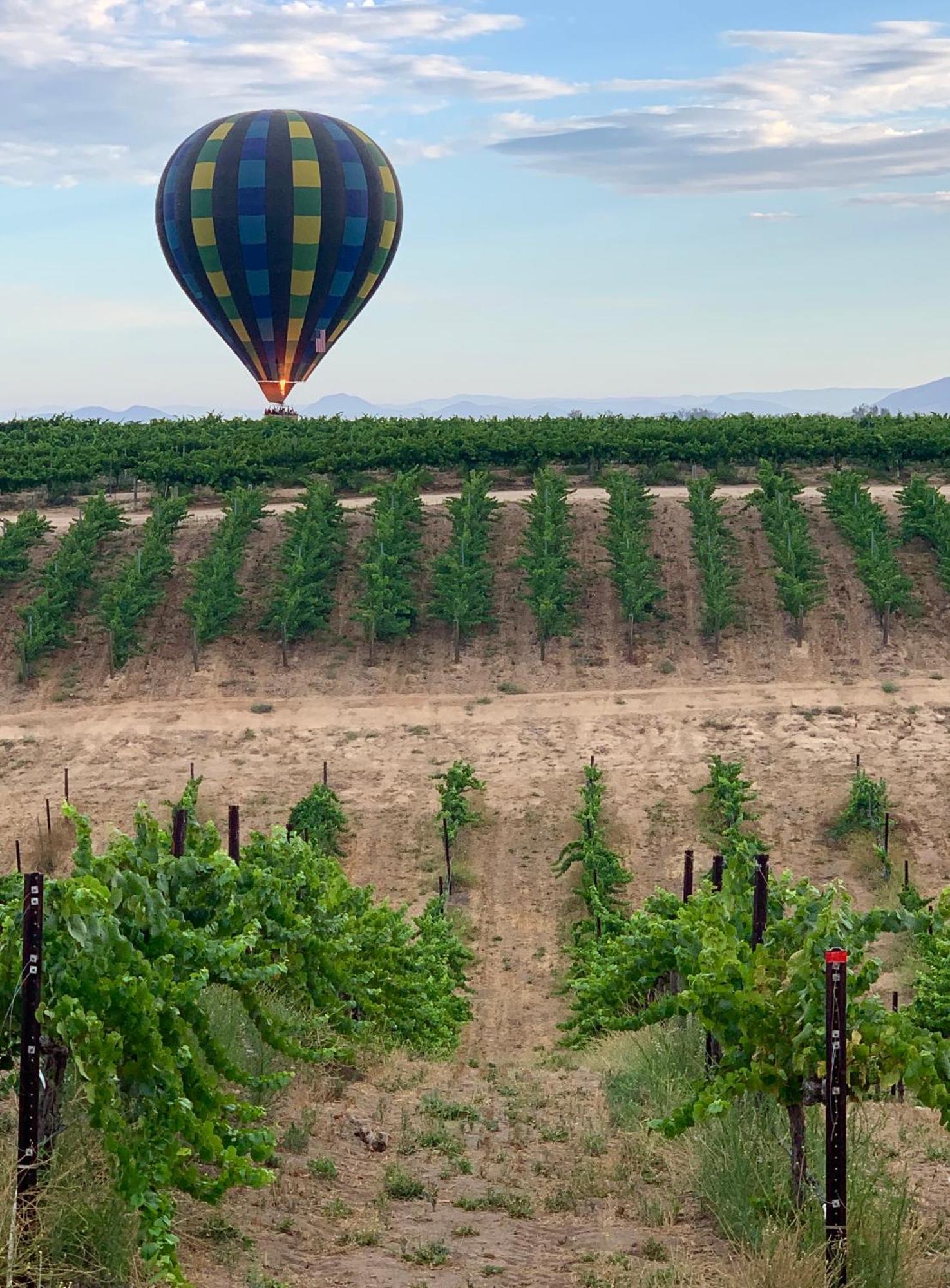 Domaine Chardonnay Bed & Breakfast เทเมคิวลา ภายนอก รูปภาพ