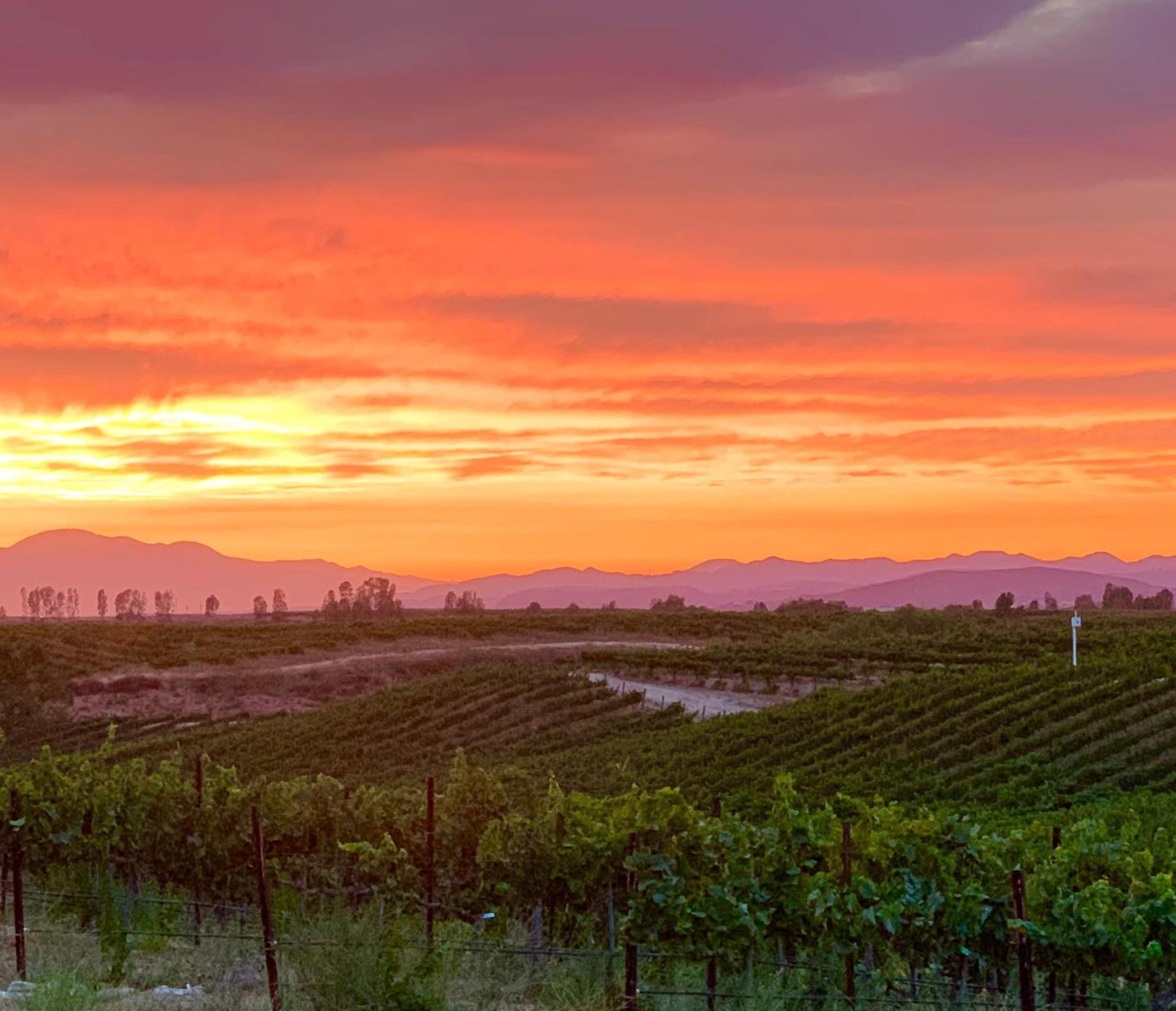 Domaine Chardonnay Bed & Breakfast เทเมคิวลา ภายนอก รูปภาพ